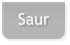 Saur